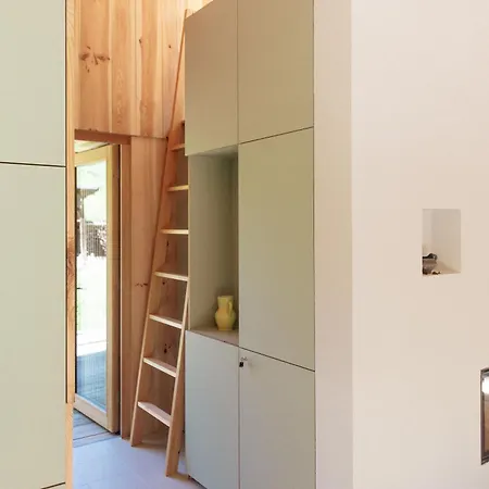 Baumhaus Buchengruen